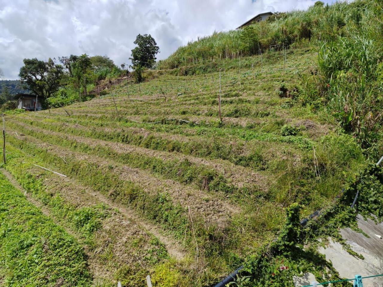 Готель Kundasang Mount Garden Екстер'єр фото