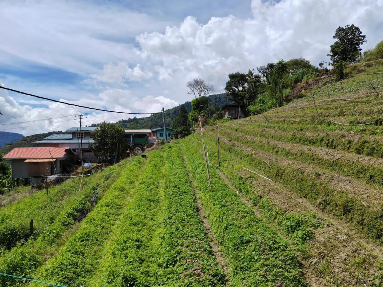 Готель Kundasang Mount Garden Екстер'єр фото